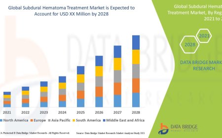 Subdural Hematoma Treatment Market Size, Status and Industry Outlook During 2028