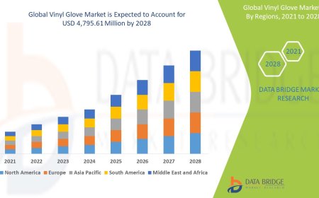 Vinyl Glove Market Size, Status and Industry Outlook During 2028