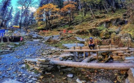 Discovering the Best Treks in Uttarakhand