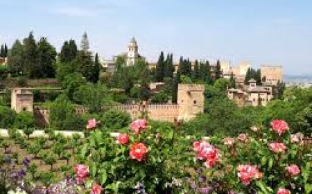 Discover the Timeless Beauty of Alhambra Gardens Granada