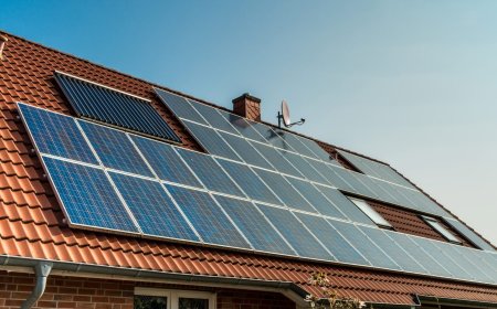 Professional Electrical Services in Newcastle for Homes, Offices, and Industrial Projects