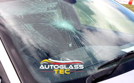 Windshield Crack Repair in Milton