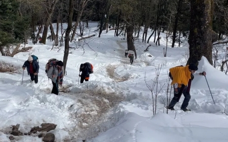 Kedarkantha Trek Guide (2025): Easy, Snowy & Unforgettable