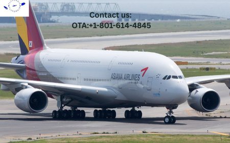 How do I Speak to a live person at Asiana? Get All Details Here!