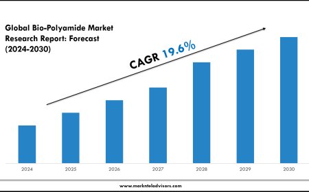Bio-Polyamide Market Companies, Share and Outlook Report 2030