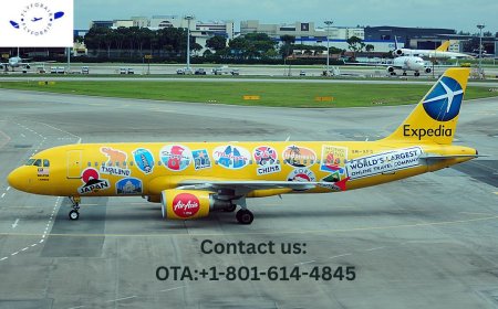 How Do I Talk to a Someone on Expedia? – Here’s the Quickest Way