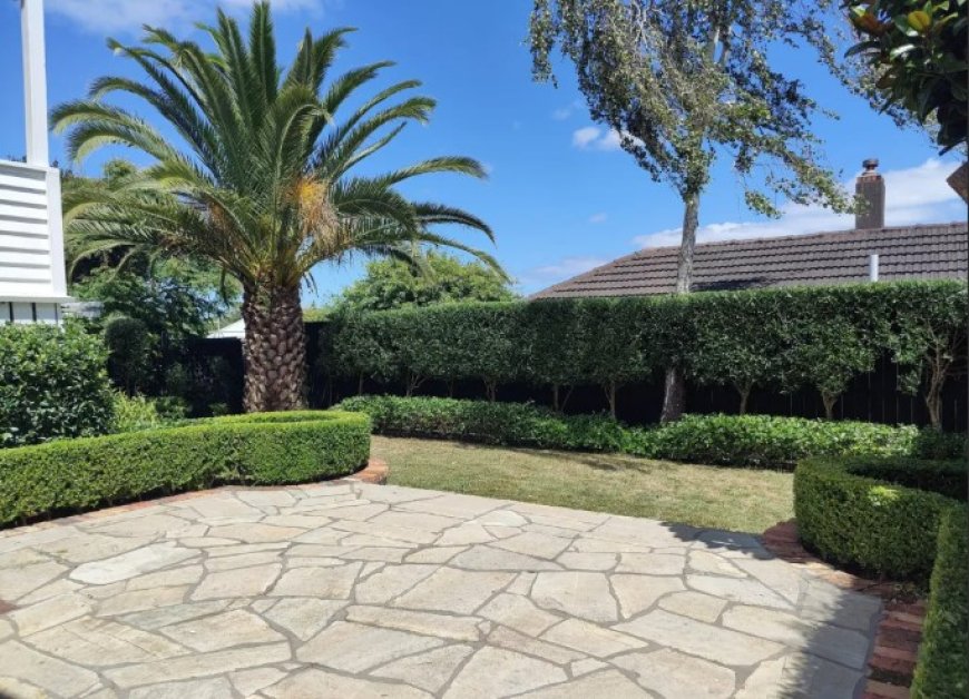 Top Rated Landscaping Companies in Auckland for Trusted Garden and Outdoor Solutions