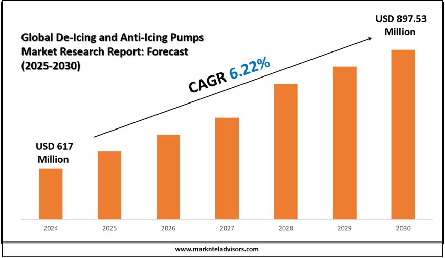 2025 Outlook: De-Icing and Anti-Icing Pumps Market Growth and Future Trends