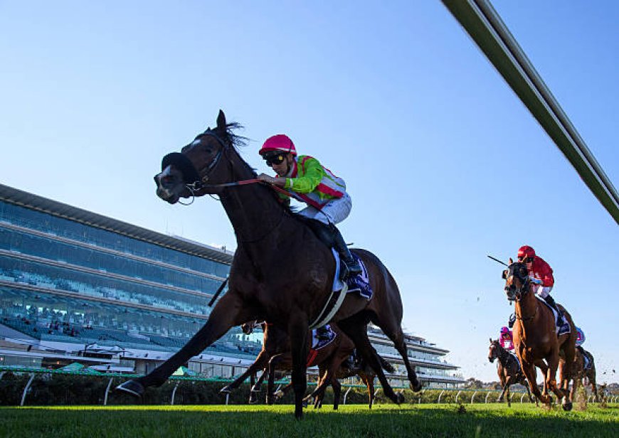 Top Flemington Racing Tips Winners: How to Back Champions at Australia’s Premier Track