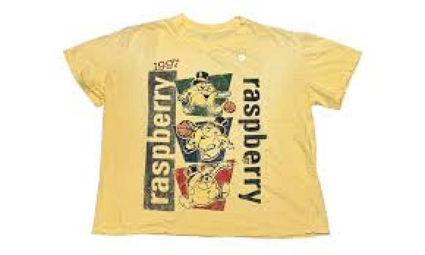 Dress Loud Without Saying a Word — Raspberry Hills Hoodie