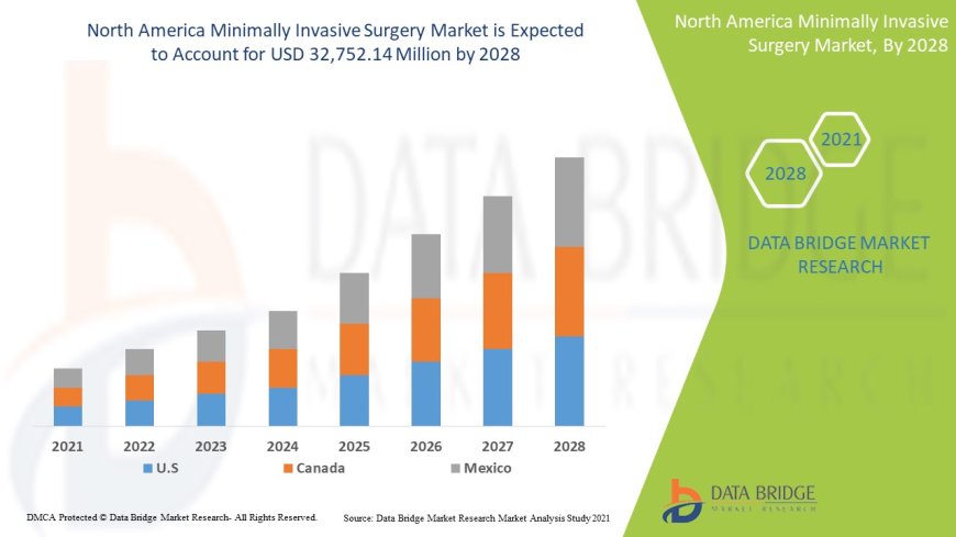 North America Minimally Invasive Market Analysis On Size and Industry Demand  2028